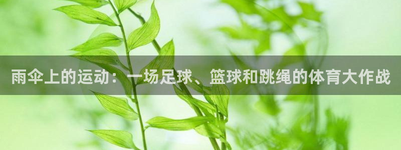 下载风速体育