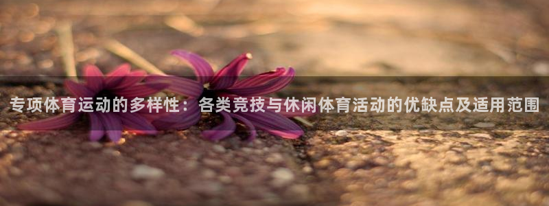 风速体育app下载官网最新版