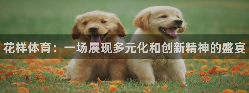 风速体育下载