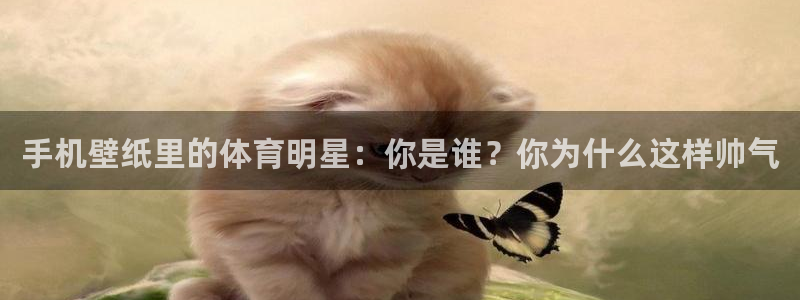 风速体育