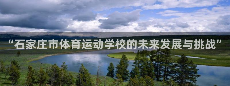 风速体育官网