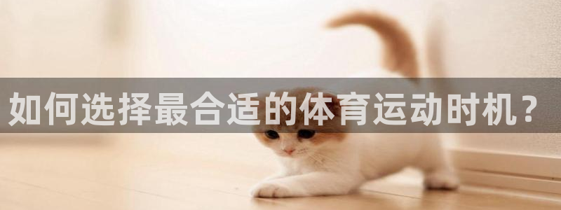 风速体育直播