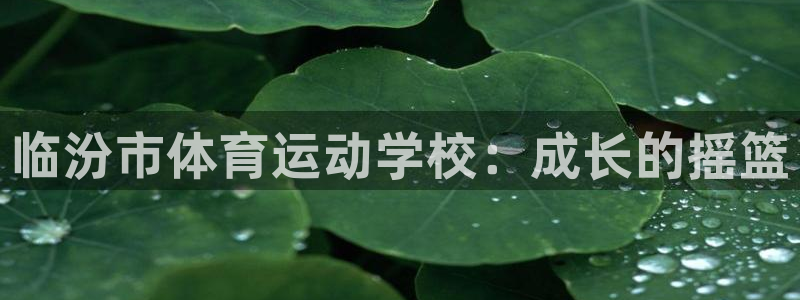 风速体育nba免费直播