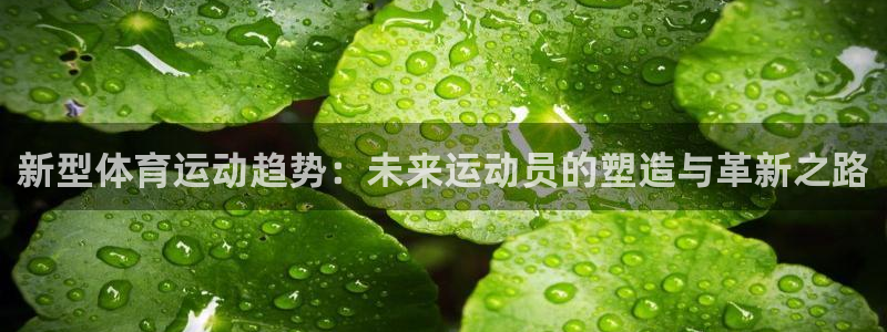 风速体育app下载安装最新版本