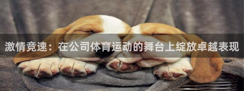 风速体育app下载安装最新版本