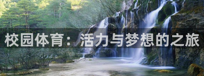 风速体育app官方下载