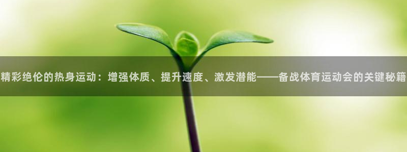 风速体育nba免费直播