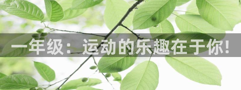风速体育nba直播