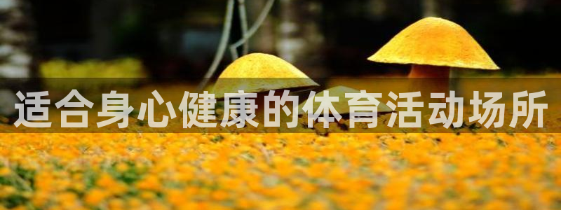 风速体育app下载安装最新版本