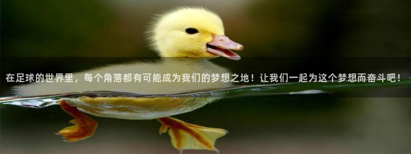 风速体育nba直播