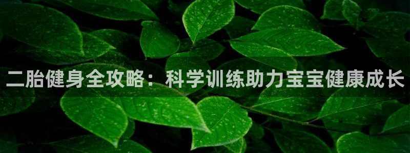 风速体育app