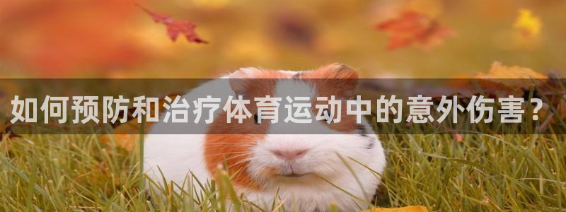 风速体育app下载官网最新版
