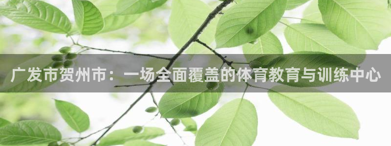 风速体育app下载安装最新版本