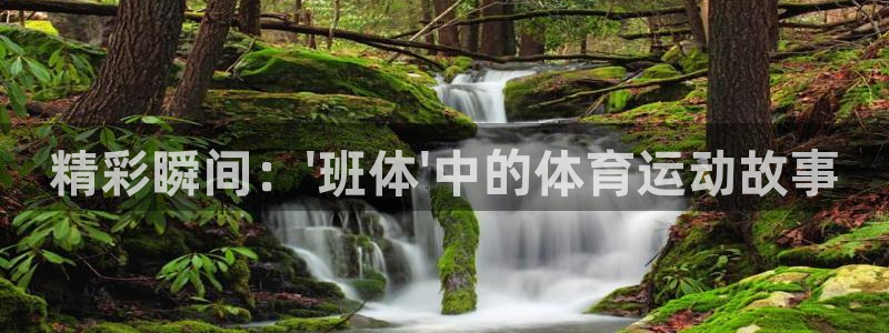 风速体育下载