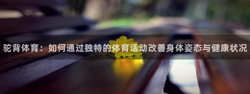 风速体育app下载官网最新版