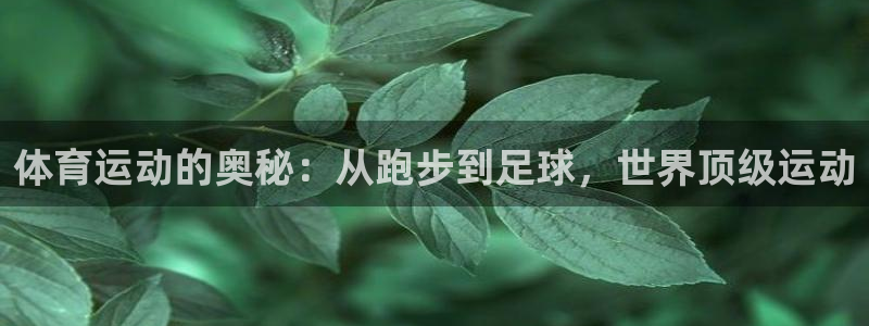 风速体育nba免费直播