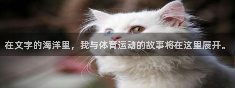 风速体育直播app