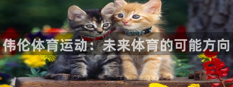 风速体育app