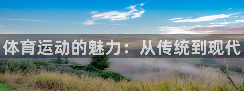 风速体育直播app
