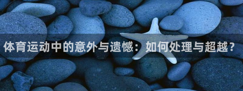 风速体育官网